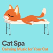 Cat Spa Calming Music for Your Cat artwork