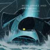 Wide Awake artwork