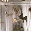 Gerben Budding - Symphonie in D: Andante Con Moto