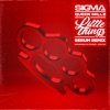 Little Things (Serum Remix) - Single