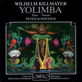 Killmayer: Yolimba artwork