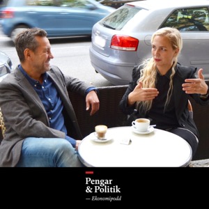 Pengar och Politik