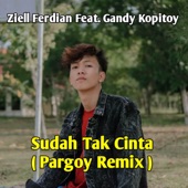 Sudah Tak Cinta (feat. GANDY KOPITOY) [Pargoy Remix] artwork