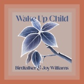 Birdtalker - Wake Up Child