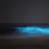 Bioluminescence - EP album lyrics, reviews, download