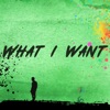 What I Want - Single