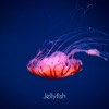 Jellyfish - Single