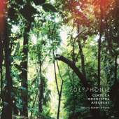 Polyphonie - Classica Orchestra Afrobeat