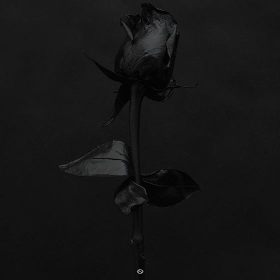Cover artwork for No More
