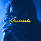 Gratitude (Radio Version) artwork