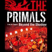 THE PRIMALS Live in Japan - Beyond the Shadow artwork