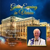 Gala Evening in Vienna artwork