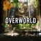 Overworld (feat. Scoryx) - Mendez Owen Music & BeatsByMendez lyrics