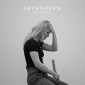 Seventeen artwork