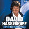 Best Of Zum 70. Geburtstag - David Hasselhoff