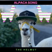 Alpaca Song artwork