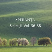 Selecții, Vol. 36-38 artwork