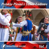 Polskie Pieśni I Tańce Ludowe, Vol. 1 artwork