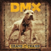 DMX - The Rain