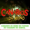 Canarios do Reino no Parque de Vaqueiro de Sobral