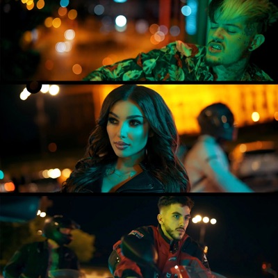 Motivul Principal - Shondy & Bogdan DLP | Shazam