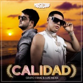 Calidad artwork