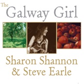 Steve Earle - Galway Girl