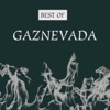 Gaznevada - I.C. Love Affair