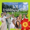 Top 101 Frühlingsgefühle der Volksmusik, Vol. 2