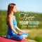 Vidya - Mindfulness Meditation Universe lyrics