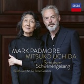 Schubert: Schwanengesang artwork