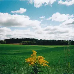 Night Talks - EP - Mark Kozelek Night Talks - EP - Mark Kozelek
