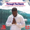 Through the Storm - Single