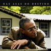 Nas Asas do Destino