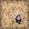 All I Have Is My Smile - LIL DUSTY G lyrics