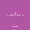 VT1S - Vunitaka artwork