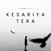 Kesariya Tera artwork