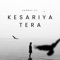 Kesariya Tera artwork