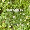 Tom Dooley - music to listen to while sleeping lyrics