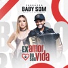 O Ex Amor da Sua Vida - Single