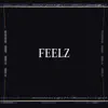 Feelz - Single album lyrics, reviews, download
