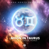 Moon in Taurus artwork