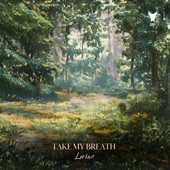 Take My Breath artwork