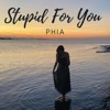 Stupid For You - Single