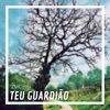 ZMCosta - Teu Guardião