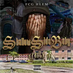 Shallowside Baby (Fast) by FCG Heem & Dj Frisco954 album reviews, ratings, credits