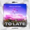 To Late (Extended Mix) artwork