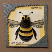 Solitary Bee - Love Wakes Up