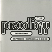 The Prodigy - Out of Space
