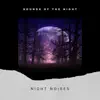 Night Noises (Different Wather) album lyrics, reviews, download